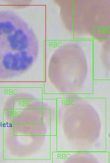 血细胞图像数据集
